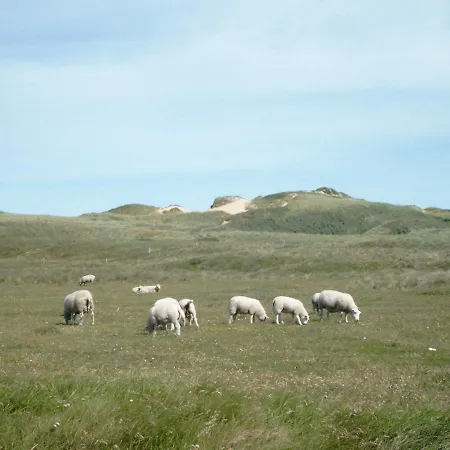 Holiday home Xxvi *
